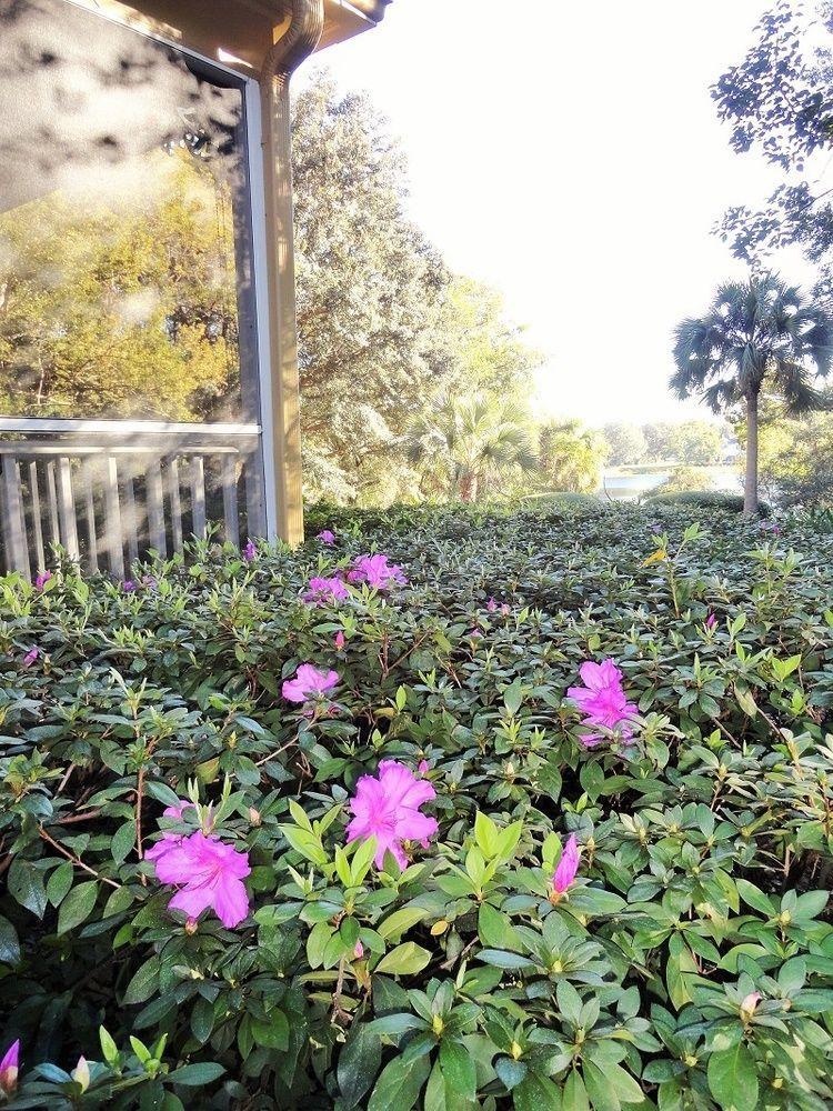 Thurston House Altamonte Springs Εξωτερικό φωτογραφία